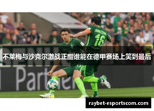 不莱梅与沙克尔激战正酣谁能在德甲赛场上笑到最后